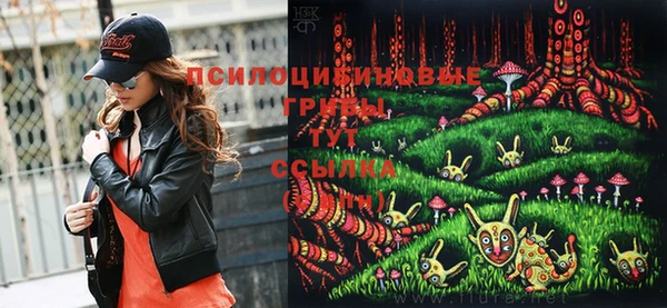 шишки Алзамай