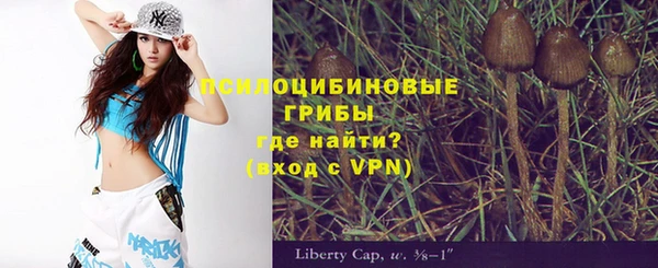 хмурый Алексеевка