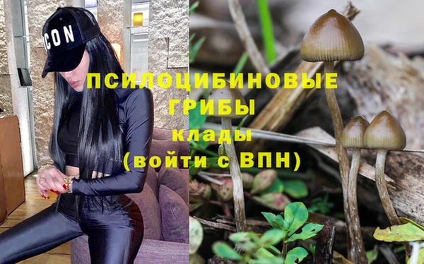 шишки Алзамай