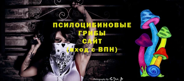 хмурый Алексеевка