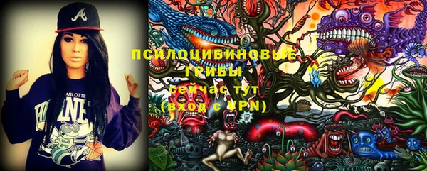 шишки Алзамай