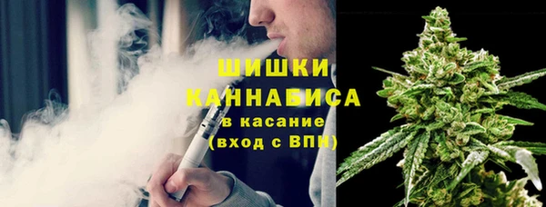 шишки Алзамай