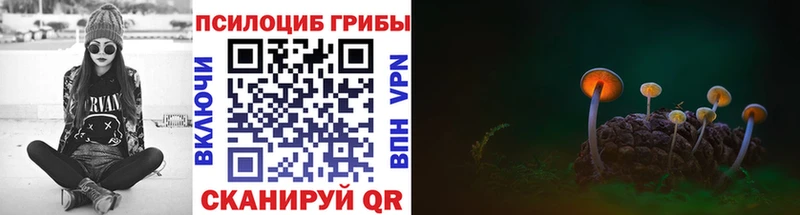 Псилоцибиновые грибы MAGIC MUSHROOMS  Сорочинск 