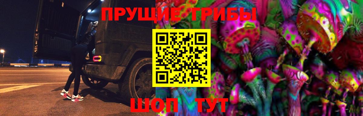 Галлюциногенные грибы Cubensis Сорочинск